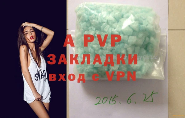 прущие грибы Белокуриха