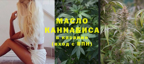 прущие грибы Белокуриха
