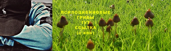 ешки Балахна