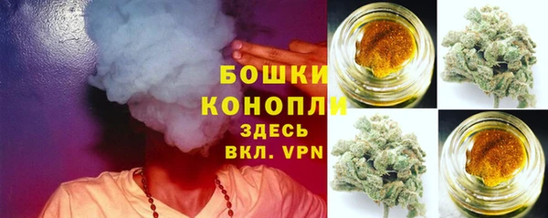 прущие грибы Белокуриха